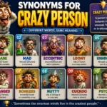 synonyms for crazy person